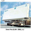  Green Pine  EL/M  2080
